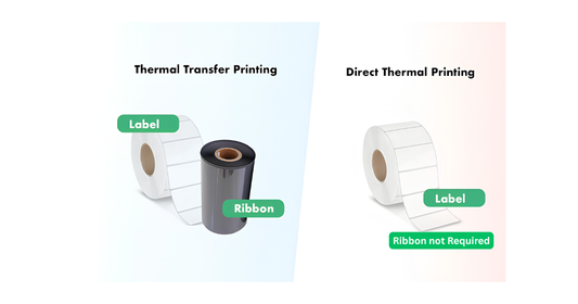 Direct Thermal and Thermal Transfer Labels