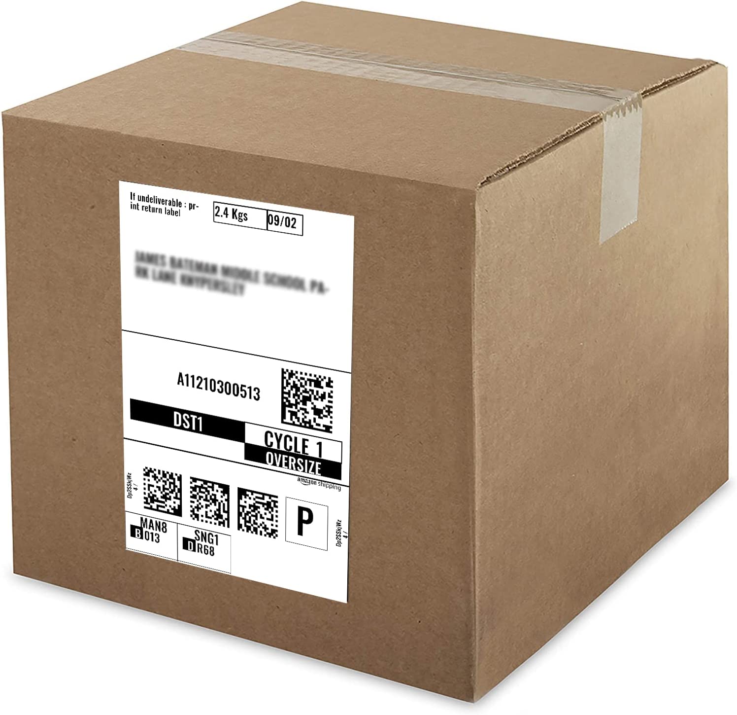 SKY S0904980 104 mm x 159 mm (4' x 6') 220 labels per roll Extra Large Shipping Labels  for Dymo Label Writer 4XL & 5XL